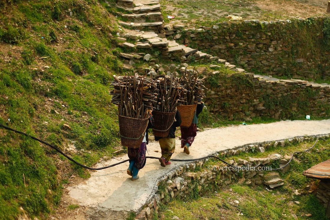 machhi-khola-trek_grorkha-(4)-1713248960.jpeg