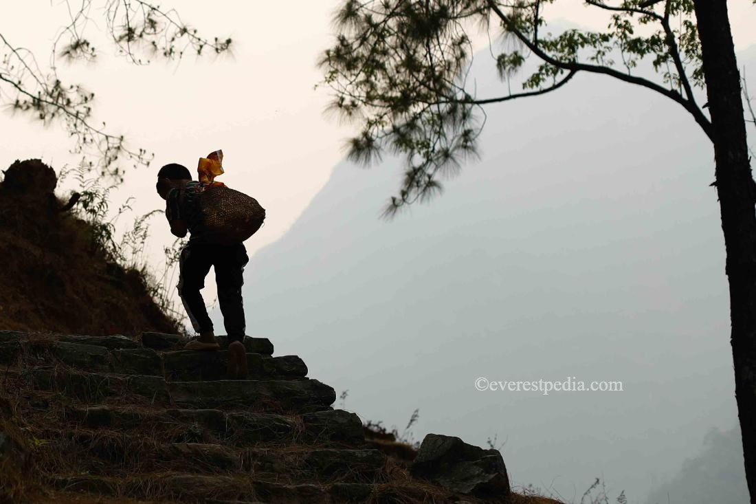 machhi-khola-trek_grorkha-(6)-1713248966.jpeg