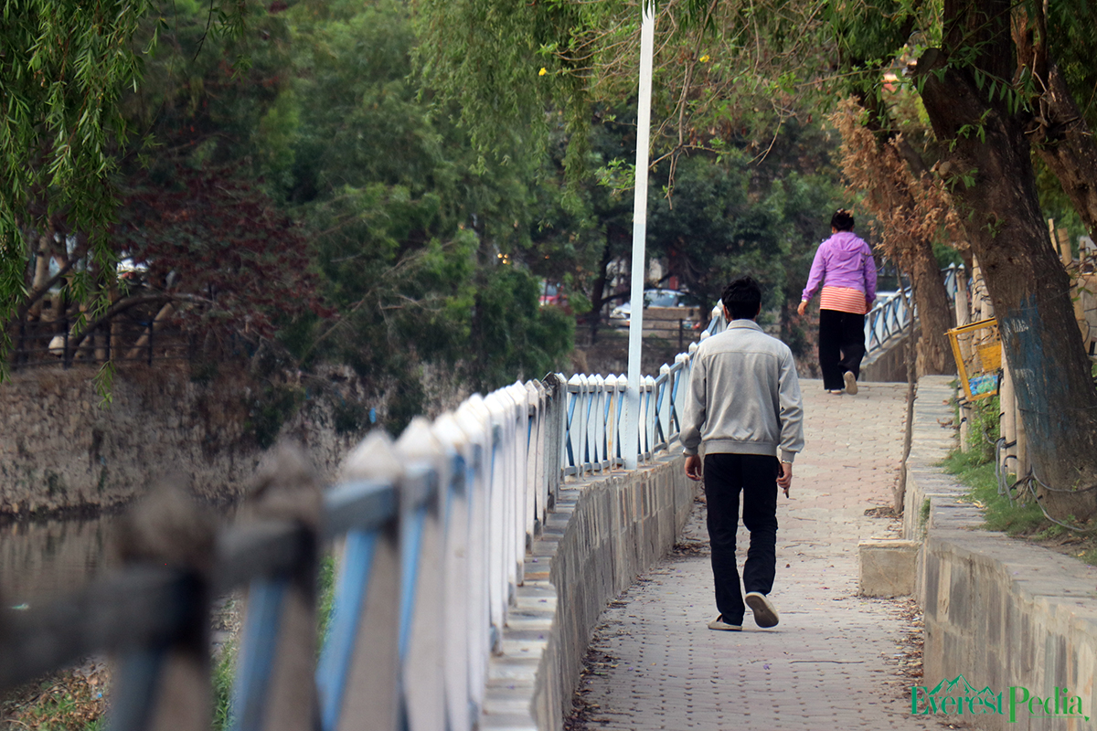 madan-bhandari-memorial-park--27-1744996501.jpg