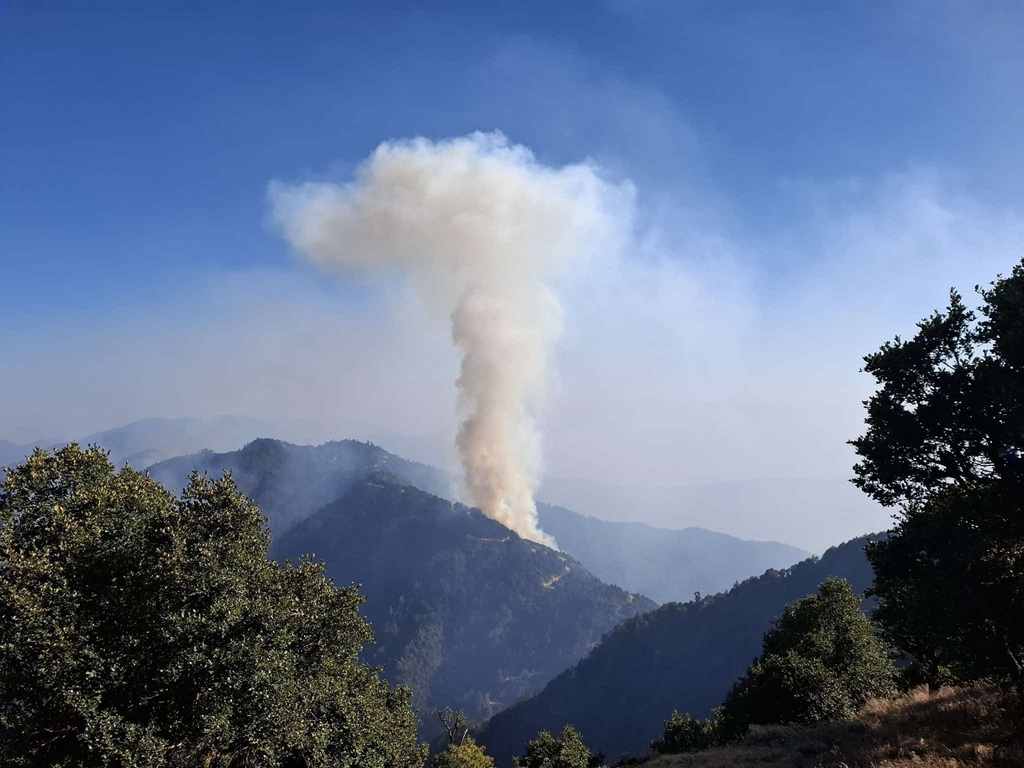 महाभारत सामुदायिक वनमा आगलागी, पर्यटकीय क्षेत्र जोखिममा