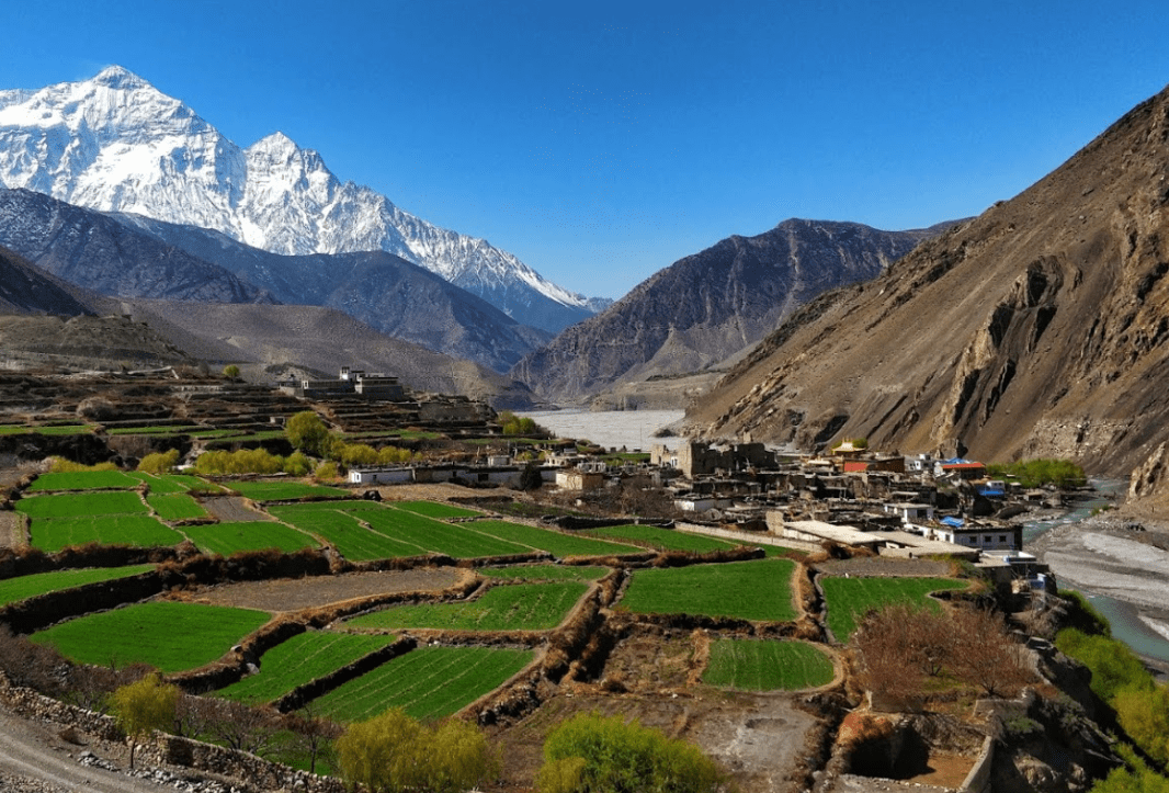 पानी र हिउँ नपर्दा म्याग्दी र मुस्ताङका किसान चिन्तित