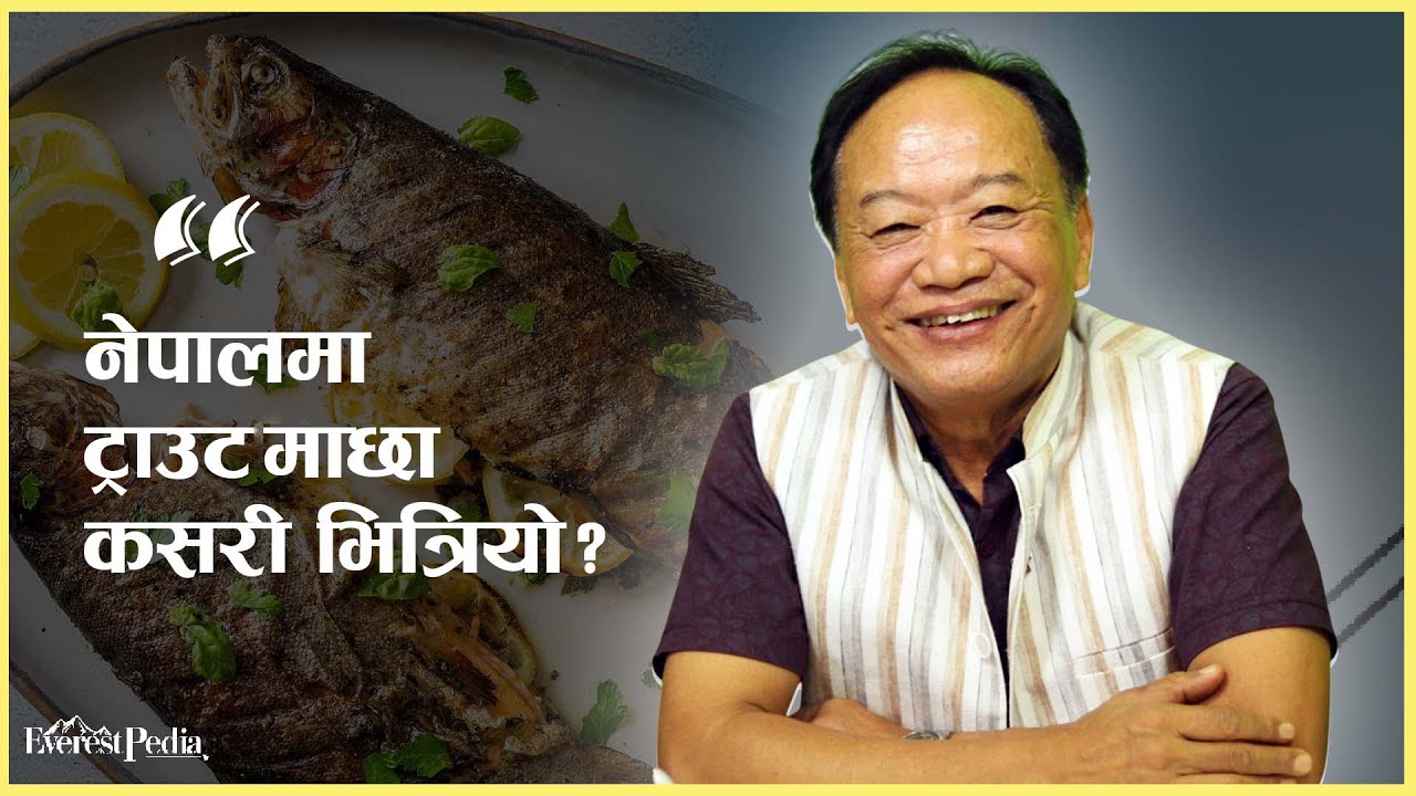 नेपालमा ट्राउट माछा कसरी भित्रियो ? (भिडियो)